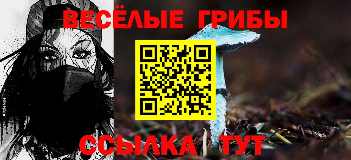 Псилоцибиновые грибы ЛСД  Вход с VPN  Саянск  Псилоцибиновые грибы прущие грибы 