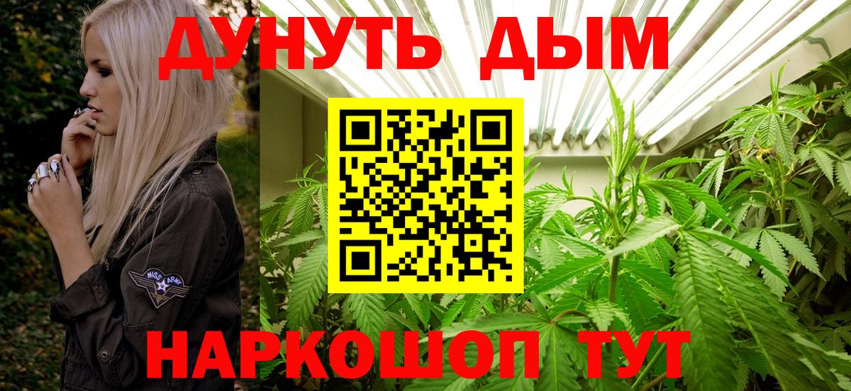 Бошки марихуана семена  Вход с VPN  Марихуана OG Kush  Каннабис Amnesia  Саянск 